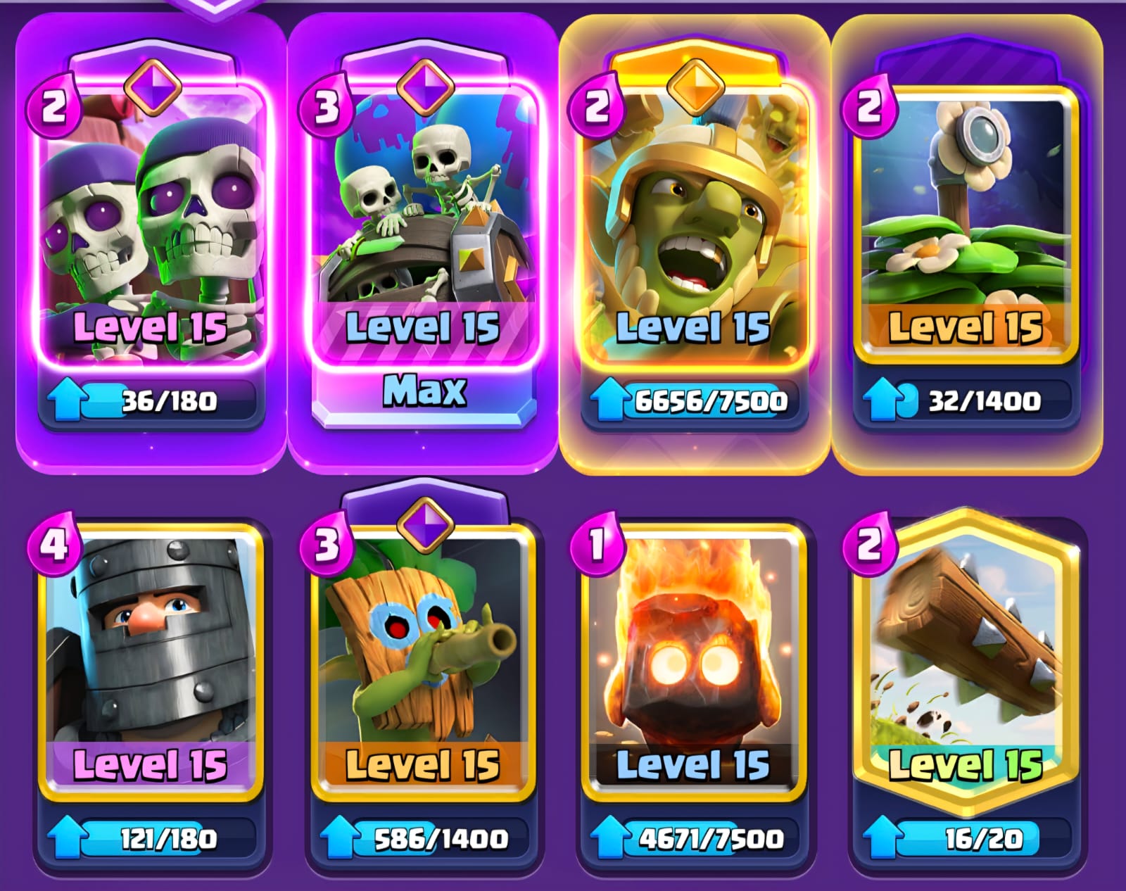Mazo Hyper Bait