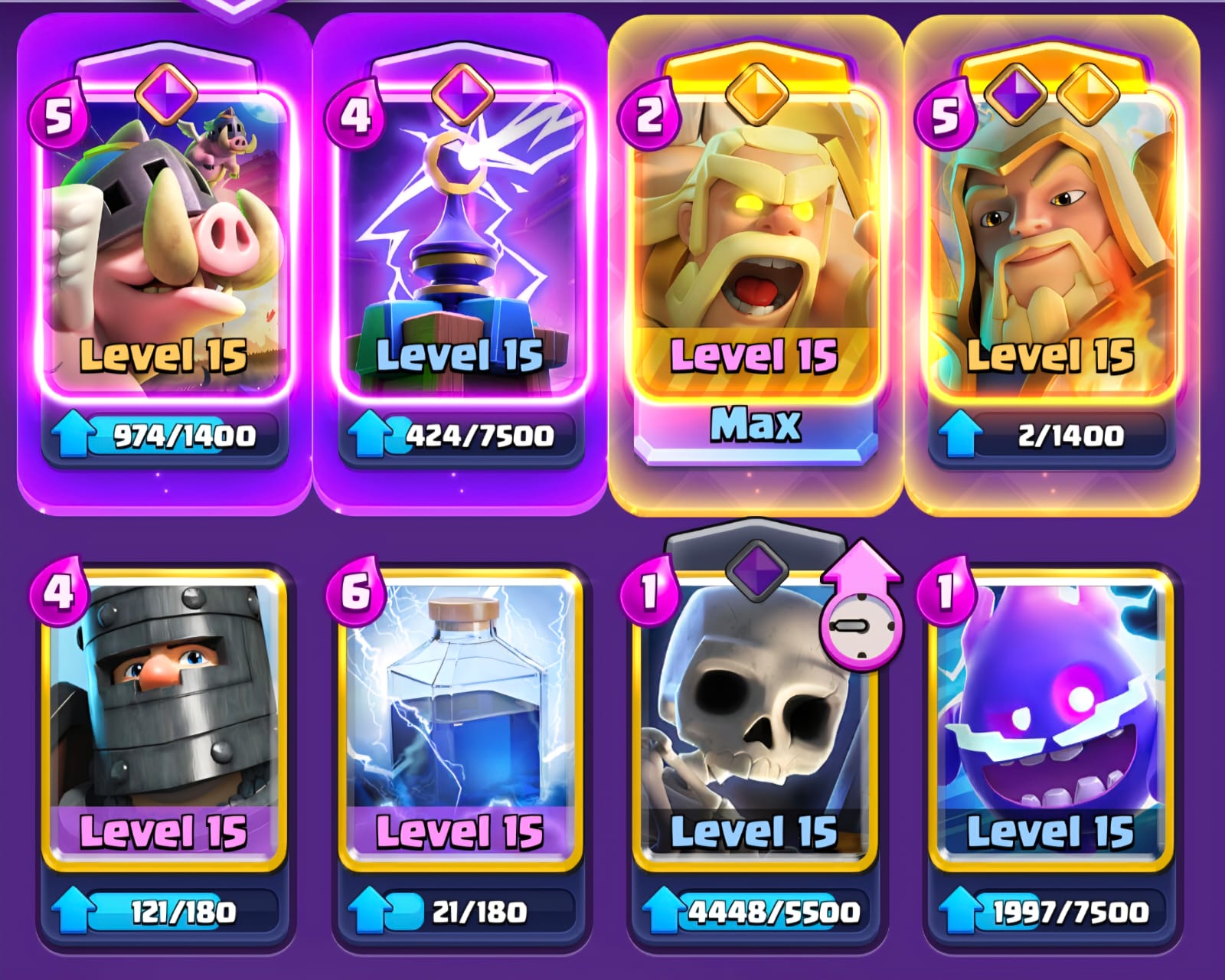 Mazo Puercos 3.0